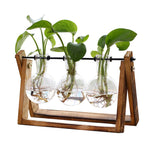 Load image into Gallery viewer, XXXFLOWER Plant Terrarium with Wooden Stand, Air Planter Bulb Glass Vase Metal Swivel Holder Retro Tabletop for Hydroponics Home Garden Office Decoration - 3 Bulb Vase
