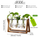 Load image into Gallery viewer, XXXFLOWER Plant Terrarium with Wooden Stand, Air Planter Bulb Glass Vase Metal Swivel Holder Retro Tabletop for Hydroponics Home Garden Office Decoration - 3 Bulb Vase
